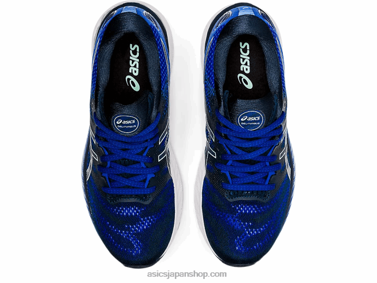 ゲルニンバス 23 L20V3899Asics フレンチブルー/フレッシュアイス