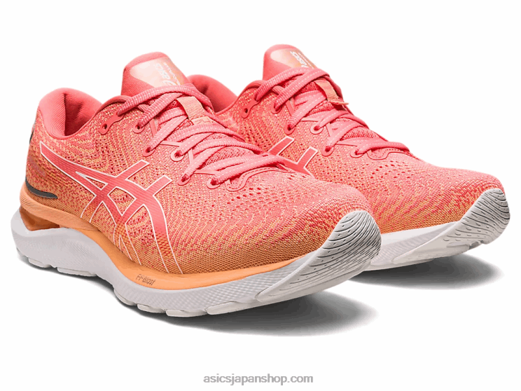 ジェル卵丘 24 L20V2393Asics パパイヤ/ホワイト