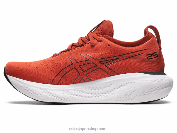 ゲルニンバス 25 L20V337Asics スパイスラテ/ブラック
