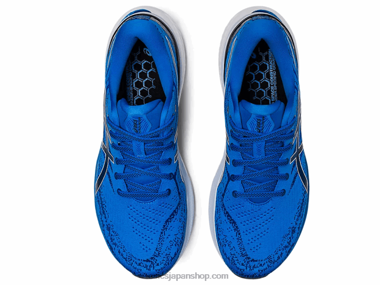 ゲルカヤノ 29 L20V912Asics エレクトリックブルー/ホワイト