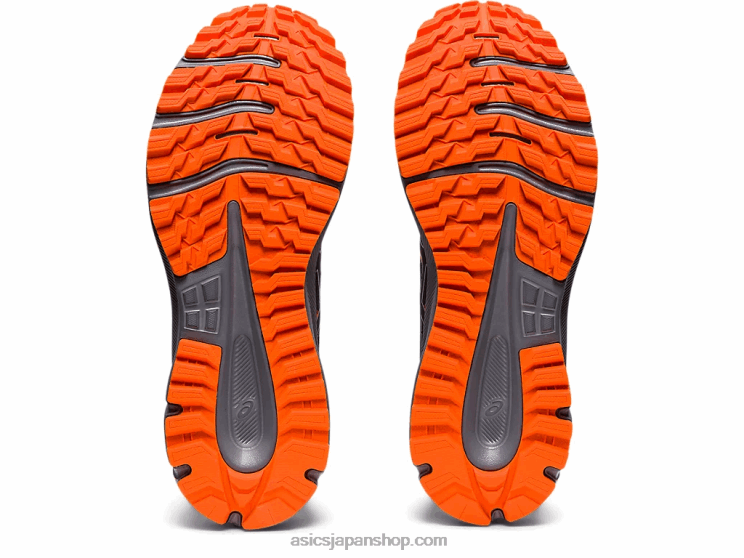 トレイルスカウト2 L20V1589Asics インディゴフォグ/ピュアシルバー
