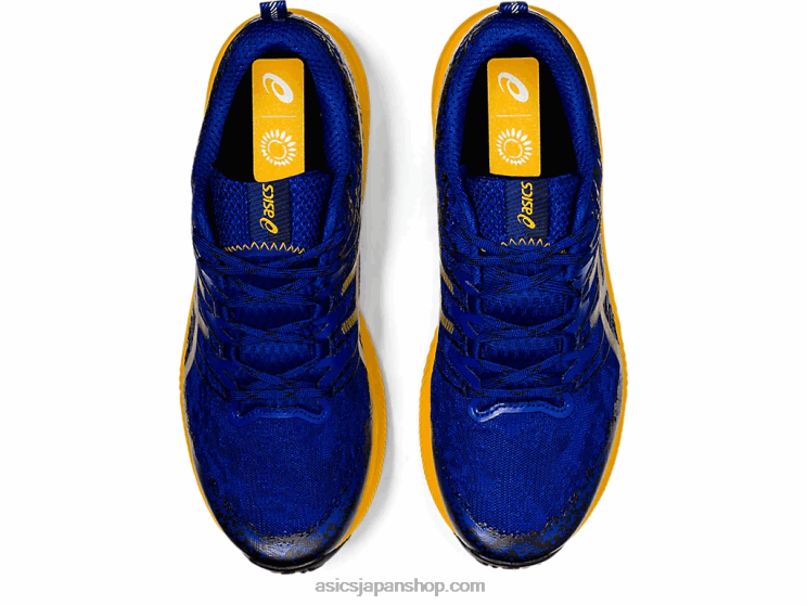 フジライト2 L20V1866Asics モナコブルー/サンフラワー