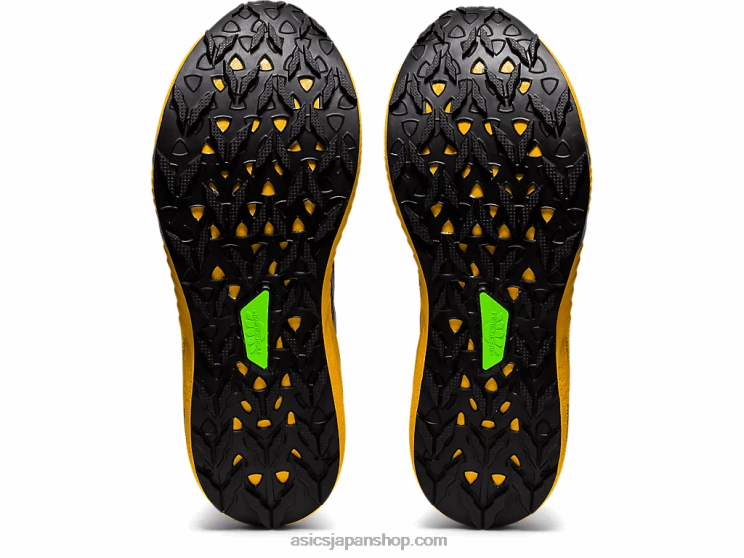 フジライト2 L20V1866Asics モナコブルー/サンフラワー