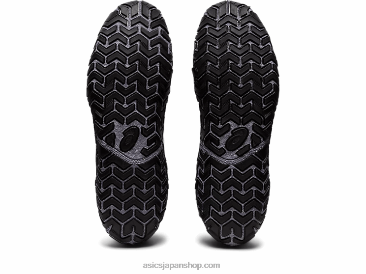 アグレッサー5 L20V1089Asics 黒、白