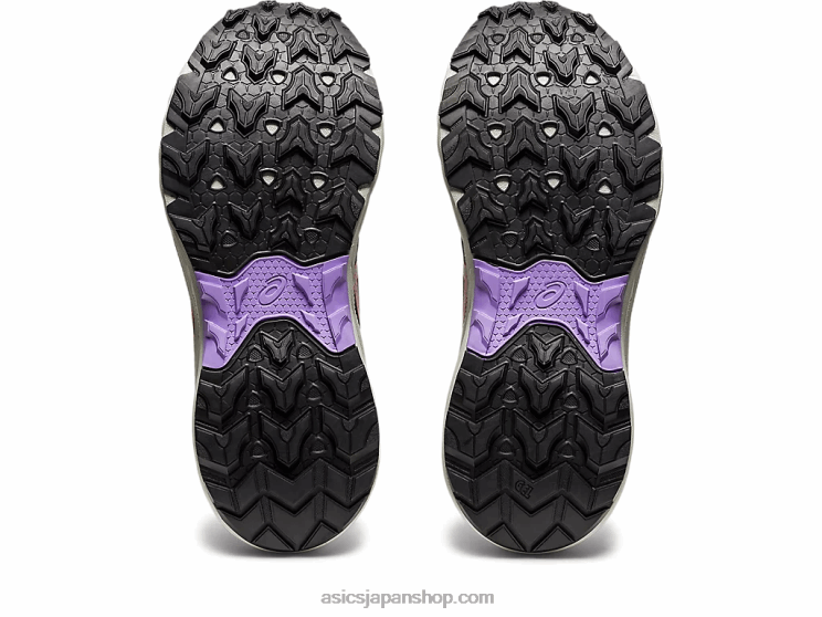 ジェルベンチャー 9 L20V2209Asics グラファイトグレー/ピュアシルバー