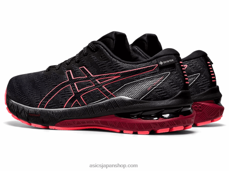 GT-2000 10G-TX L20V3613Asics キャリア グレー/ブラック