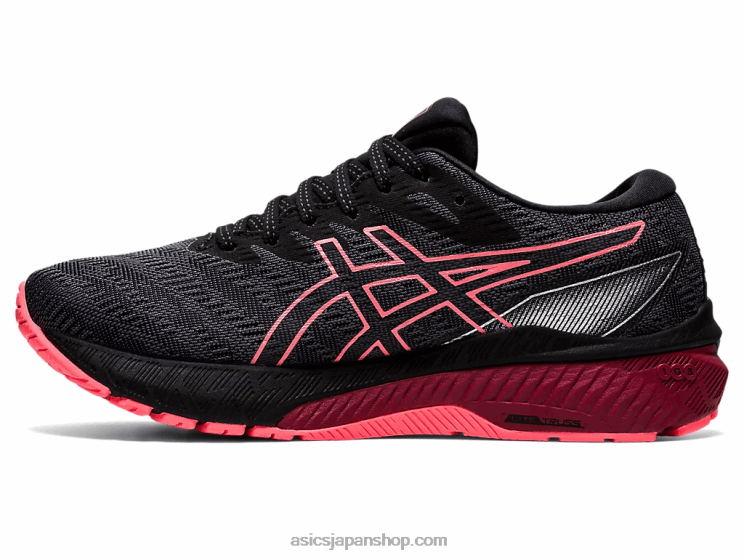 GT-2000 10G-TX L20V3613Asics キャリア グレー/ブラック