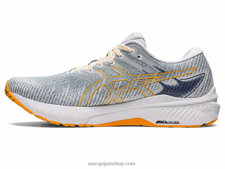 GT-2000 10 L20V1238Asics ライトスチール/アンバー