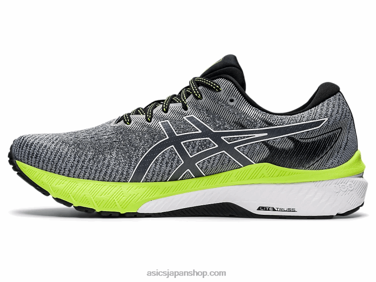 GT-2000 10 L20V1475Asics キャリア グレー/ホワイト