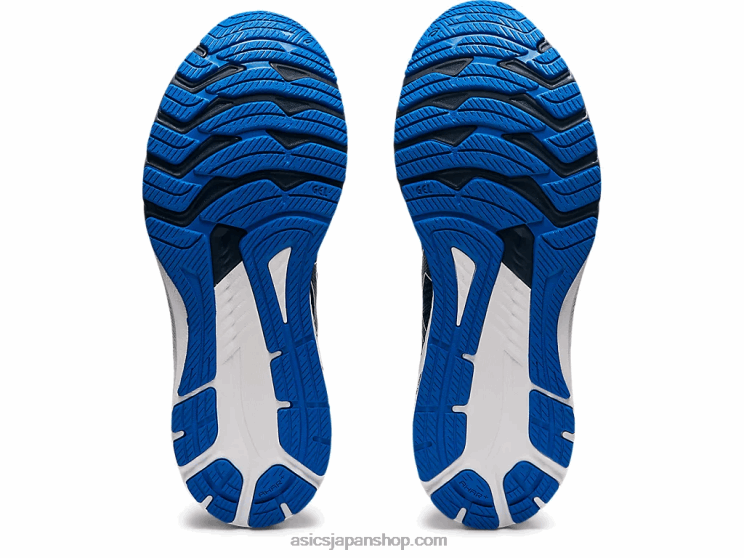 GT-2000 10 L20V1697Asics サンダーブルー/フレンチブルー