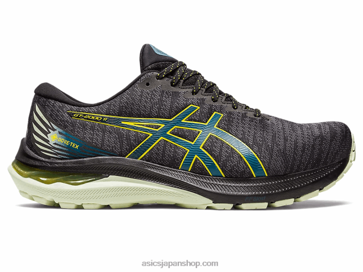 GT-2000 11GTX L20V691Asics ブラック/インクティール