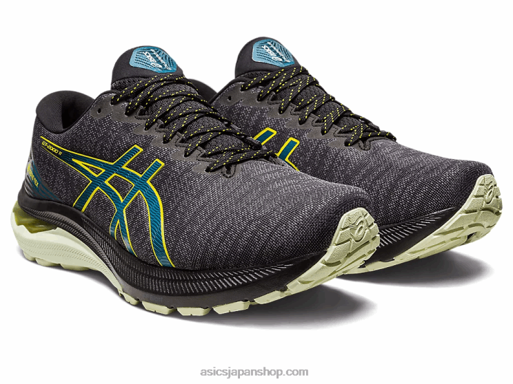 GT-2000 11GTX L20V691Asics ブラック/インクティール