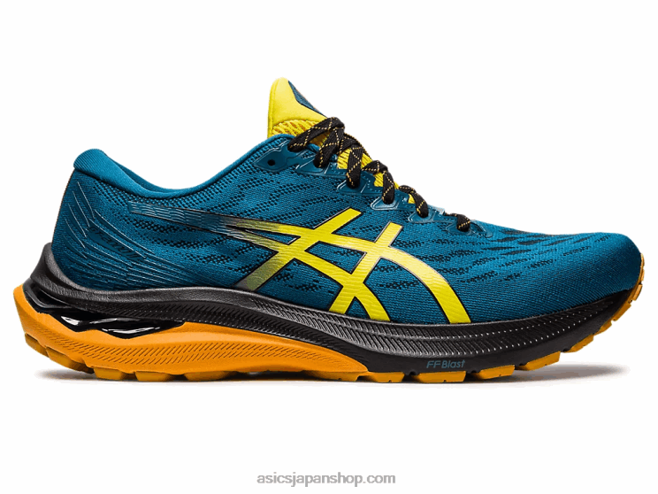 GT-2000 11TR ワイド自然浴 L20V379Asics 自然浴/ゴールデンイエロー