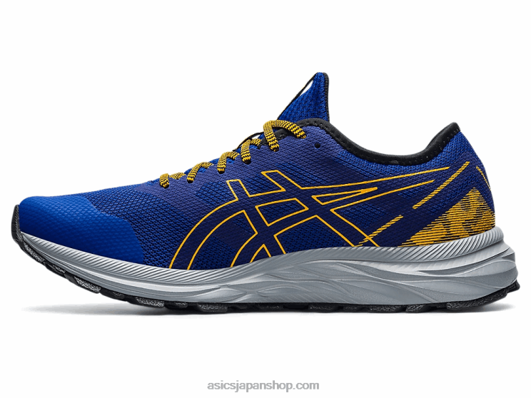 ゲルエキサイトトレイル L20V1722Asics モナコブルー/サンフラワー