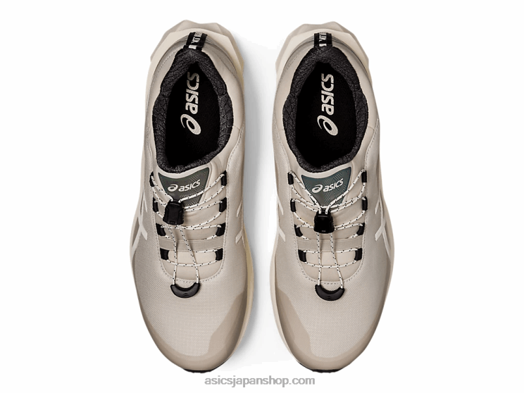 ノバブラストSP L20V2021Asics スモークグレー