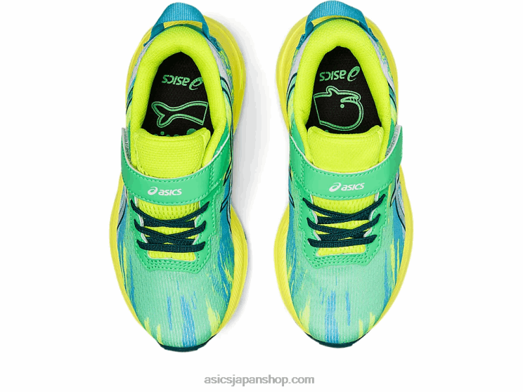 プレヌーサ トライ 13 プリスクール L20V4331Asics ニューリーフ/ベルベットパイン