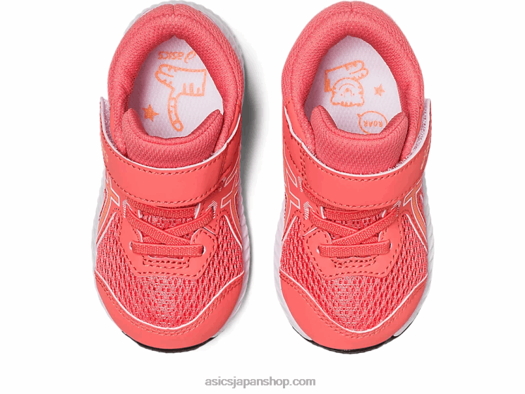 コンテント 8 幼児サイズ L20V4232Asics パパイヤ/夏の砂丘