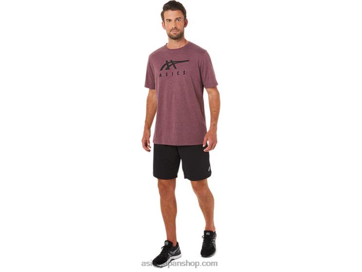 ストライプ半袖Tシャツ L20V1643Asics 深火星のヘザー